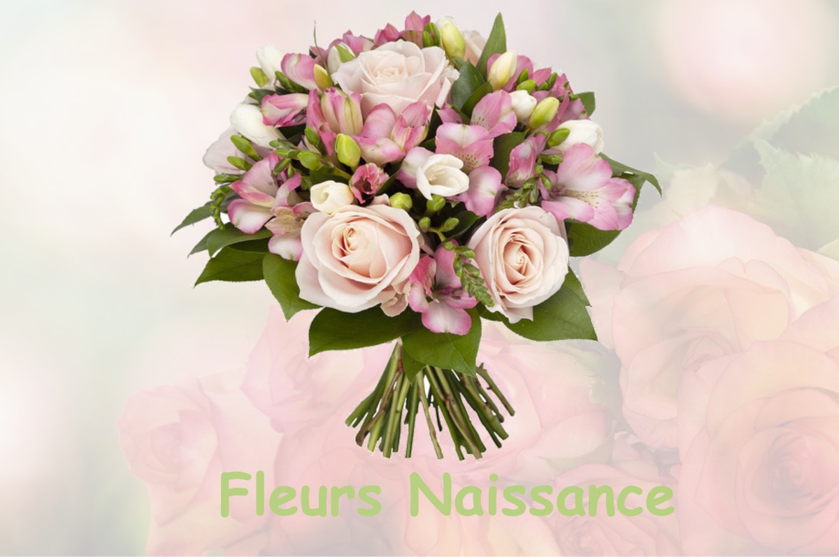 fleurs naissance CHAMPAGNE-LES-MARAIS